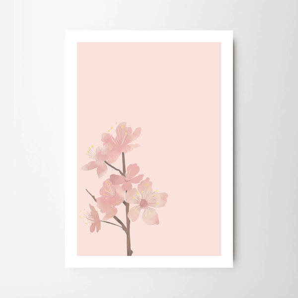 Spring Pink Cherry Blossom - Tulip House Studio